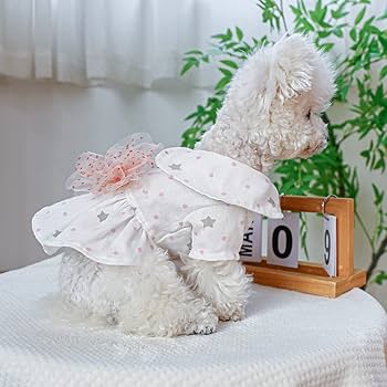 ルイママ犬服　猫服　ハンドメイド　ワンピース　わんちゃん No.1158犬服 猫服 ハンドメイド ワンピース わんちゃん - メルカリ